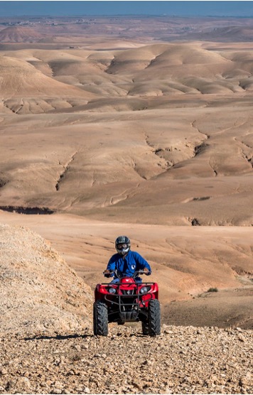 Buggy ou Quad